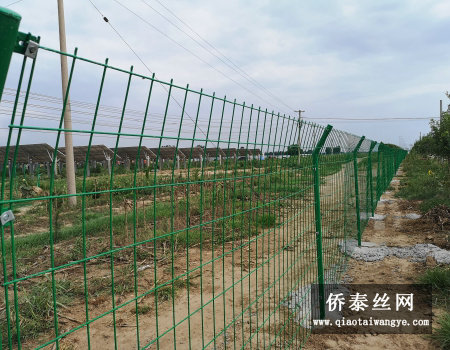 新农村改造护栏网图片3
